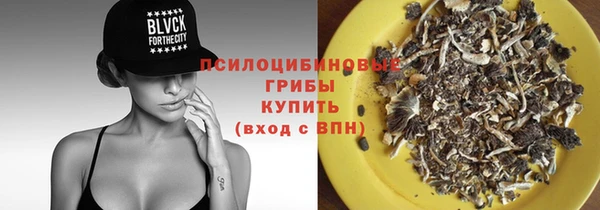 индика Богородицк