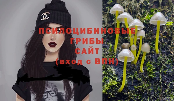 a pvp Володарск