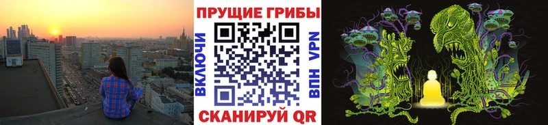 Псилоцибиновые грибы ЛСД  ОМГ ОМГ онион  Заречный 